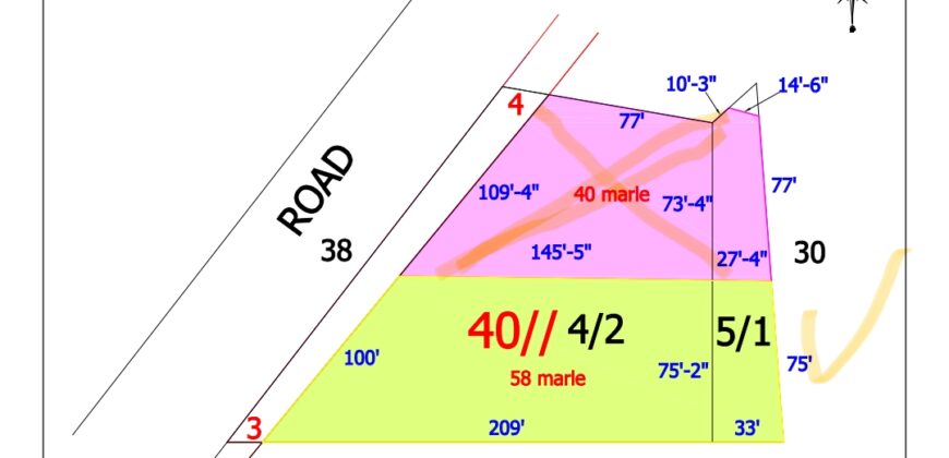 Plot 55 marla