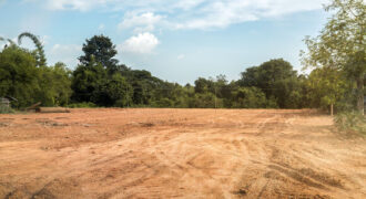 5 marla premium plot